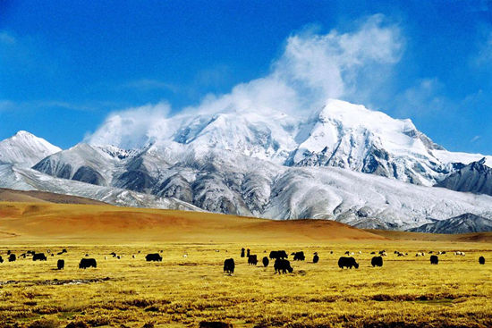 西藏•前往拉萨——拉萨、布达拉宫、扎基寺、林芝、纳木错1动3卧10日旅游
