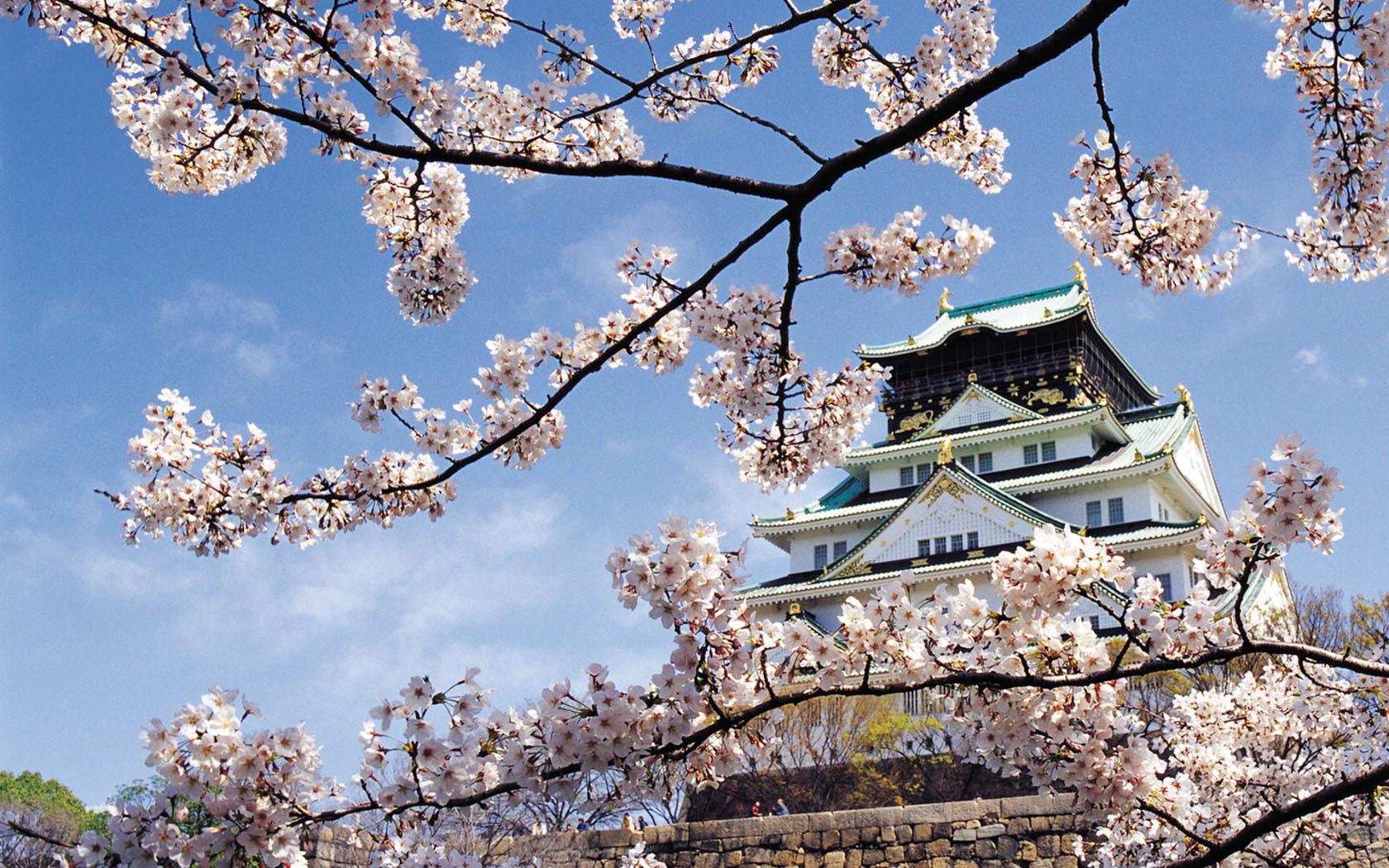 日本单次个人旅游签证