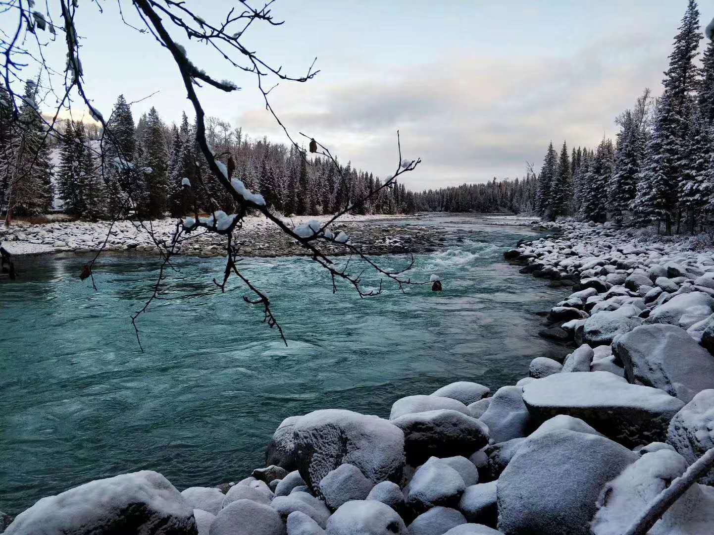 喀纳斯全景深度八日游